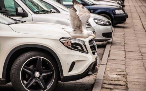 What You Need To Know Before Renting A Car In 2022