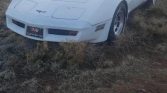 3rd gen white 1981 Chevrolet Corvette manual For Sale