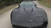 3rd gen black 1981 Chevrolet Corvette Stingray For Sale