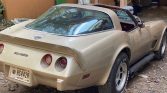 3rd gen 1978 Chevrolet Corvette 25th Anniversary For Sale