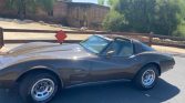 3rd gen brown 1979 Chevrolet Corvette L82 manual For Sale